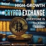 USA’s High-Growth Crypto Exchange Everyone Is Talking About - Custom Software Development listing in London