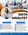 Data Analyst Training by STEPIN2IT - Custom Software Development listing in Toronto