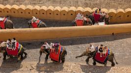 Luxury Golden Triangle Tours in India - photo 6 / 6