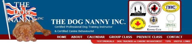 March Break Special - Dog Training Courses - Puppy & Beginner - photo 3 / 3