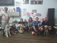Upcoming Dog Training Classes - photo 4 / 4