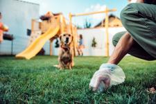 Yard Cleanup & Dog Poop Removal – Affordable & Fast - Toronto - Lawn Care Services listing