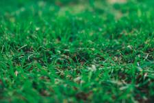 Get Expert Lawn Maintenance Services at Affordable Rates - Calgary - Lawn Care Services listing