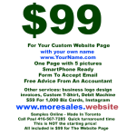 One Page Website for $99 (Perfect for Small Businesses) - Toronto - Business Card Design listing