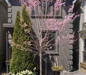 Style, space and sweet home - Apartments for Rent listing in Toronto