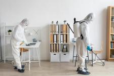 Expert Pest Control in Red Deer for Homes and Businesses – Call Today! - Rodent Control listing in Calgary