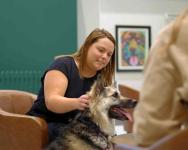 Westmount Animal Clinic – Calgary Vet & Trusted Animal Clinic Calgary - Calgary - Emergency Care listing