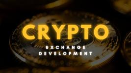 Why New Crypto Exchanges Struggle Against Top Platforms Today - Website Design listing in Calgary