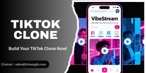 TikTok Showed the Playbook. The Next Move Is Yours. - Hamilton - Strategy Consulting listing