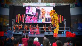 Lion Dance & Dragon Dance Classes – Edmonton | Spring 2026 - photo 2 / 6