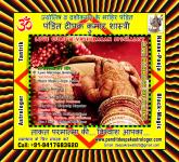 Pandit Deepak Kumar Astrologer - photo 4 / 4