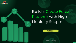 Build a Crypto Forex Platform with High Liquidity Support - Management Consulting listing in Coquitlam