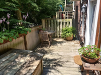 1 Bedroom Apartment with Separate Private Entrance - Apartments for Rent listing in Toronto