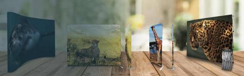 Get Quality Curved Fabric Displays for Toronto-Area Trade Shows | Trad - Toronto - Video Production listing