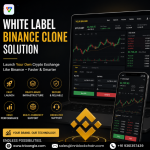 Launch Your Own Crypto Exchange with a Powerful Binance Clone Script - Businesses for Sale listing in Calgary