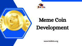 Design Tokenomics Logic in Meme Coin Development - Custom Software Development listing in Richmond