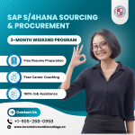 S/4 HANA Sourcing and Procurement (SAP MM) - Academic listing in Toronto