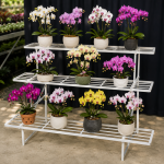 Orchid Stand: A Perfect Way to Display Your Beautiful Orchids - Farm & Garden listing in Edmonton