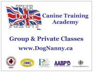 Dog Training - Group & Individual Walks listing in Barrie