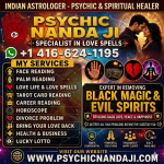 Indian best astrologer and psychic in Toronto, Canada, psychic nandaJi - General listing in Toronto