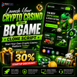Launch Your Crypto Casino with BC Game Clone Script Up to 30% Startup - Businesses for Sale listing in Calgary