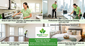 Best Home Cleaning Services in Scarborough-Toronto - photo 3 / 6