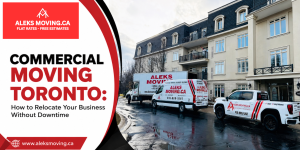 Expert Moving Services in Toronto: Reliable, Transparent - Moving & Storage listing in Toronto
