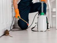 Rodent Control Company: Protecting Homes and Businesses with Reliable - Rodent Control listing in Toronto