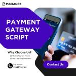 All-in-One Payment Gateway Script for Growing Businesses - E-commerce Development listing in Calgary