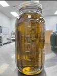 Pure Natural Hemp Oil – Premium Quality - Health & Beauty Products listing in Québec City