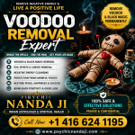 Psychic nanda ji - Expert in Removal Negative Energy in Toronto,canada - Management Consulting listing in Toronto