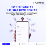 Build a Future-Ready Crypto Payment Gateway for Global Transactions - Custom Software Development listing in Brandon