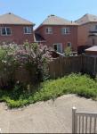 Lawn care , grass cutting , weed removal - photo 2 / 5