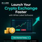 Launch Your Crypto Exchange Faster with White Label Software - Custom Software Development listing in Burnaby