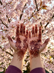 Henna Services - photo 3 / 6