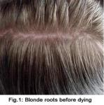 Sunnyvale Natural Henna, Indigo, Henna-digo Brown Hair Color Powder - photo 2 / 6