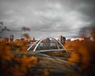Alberta Affordability Plan - Accounting Services listing in Edmonton