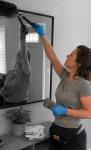 Hellamaid Cleaning Services Kitchener Waterloo - photo 4 / 6