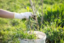 Fast & Professional Snow Removal in Red Deer for Safe Driveways - Calgary - Lawn Care Services listing