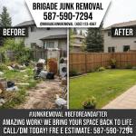 Junk Removal / Property cleanout - photo 3 / 4