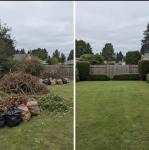🧹 Need Help Cleaning Up Your Yard or Garage? - House Cleaning listing in Toronto